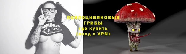 шишки Верхнеуральск