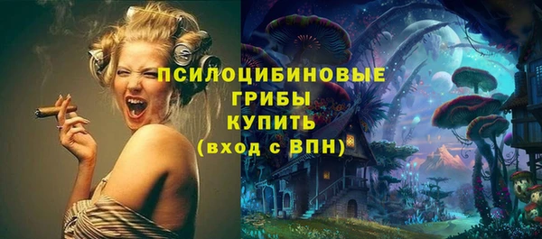 шишки Верхнеуральск