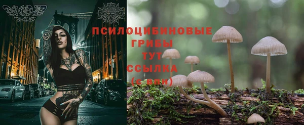 ГАЛЛЮЦИНОГЕННЫЕ ГРИБЫ Вязьма