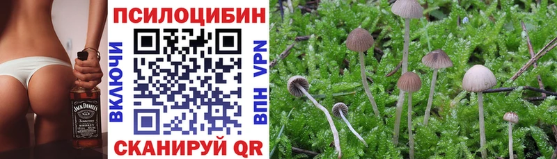 блэк спрут онион  Добрянка  Галлюциногенные грибы прущие грибы 
